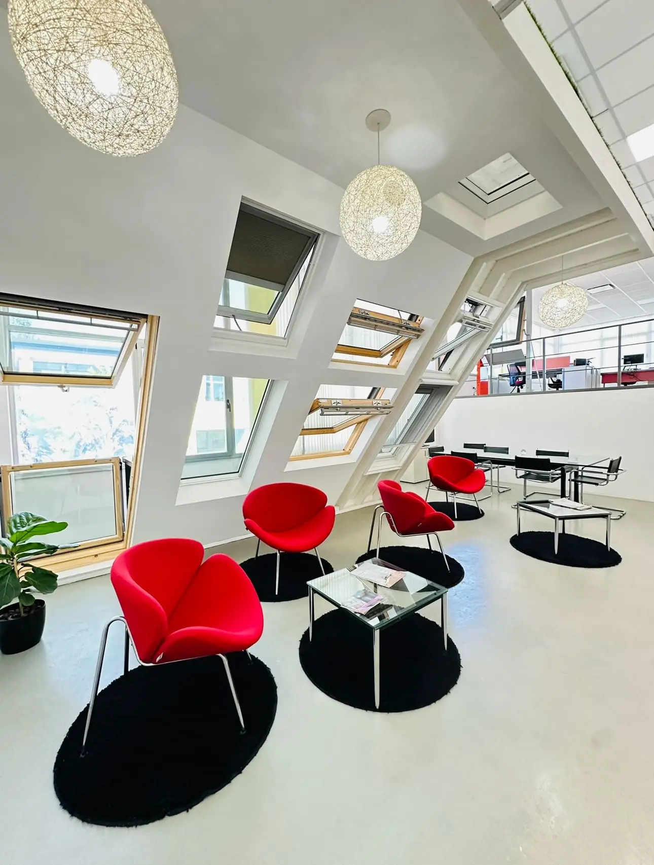 Showroom de ventanas de techo VELUX en Pilar, Buenos Aires